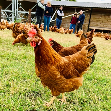 Towards Zero Land Conversion